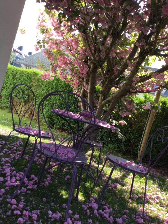 B&B Superieur Villa Vanille 나무르 외부 사진
